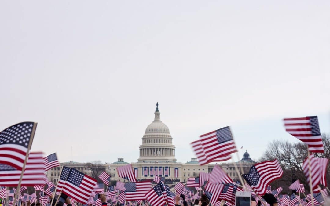 people waving flags at capitol