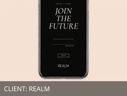 Client: Realm