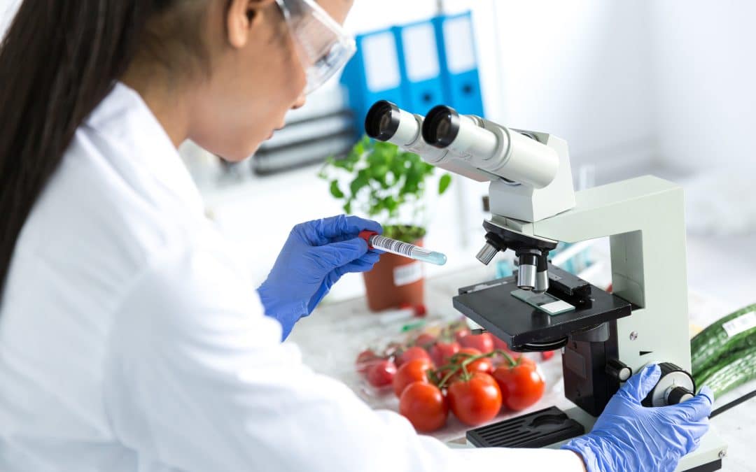 microbiologist using microscope