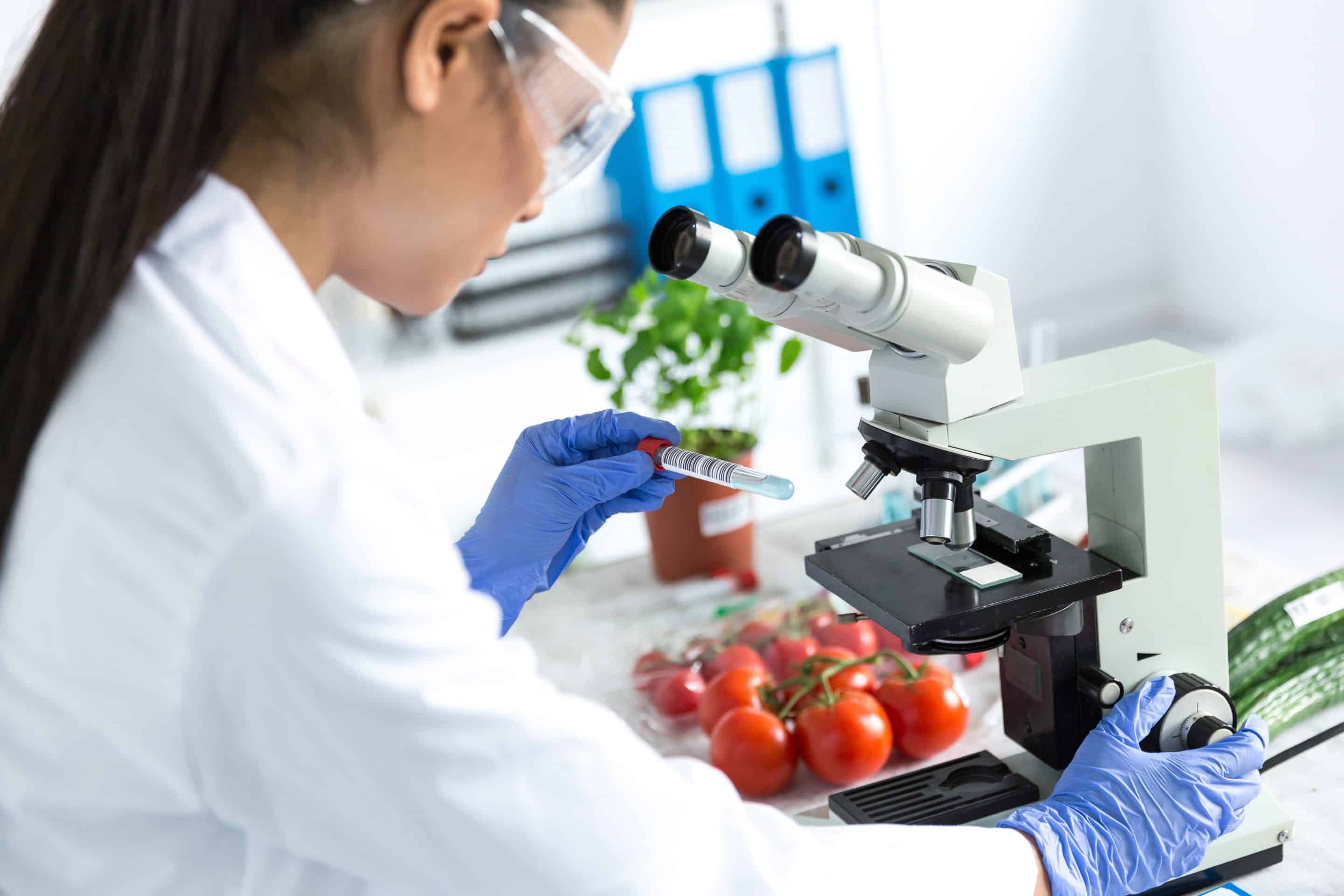 microbiologist using microscope